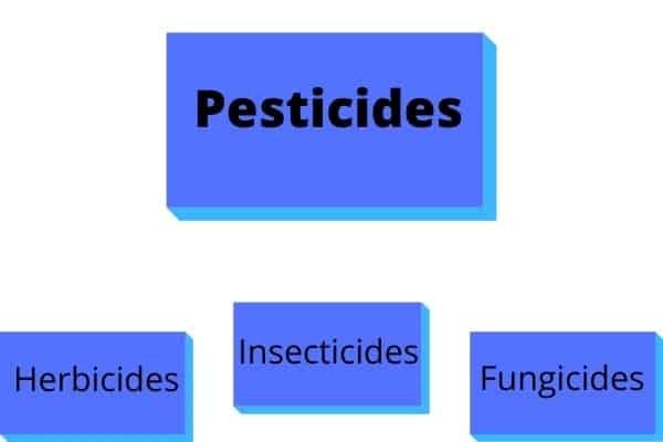 Pesticide, herbicide, insecticide, and fungicide graphic.