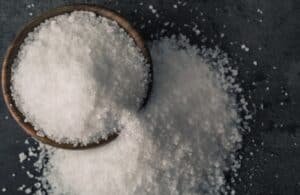 fleas discomfort nuisance